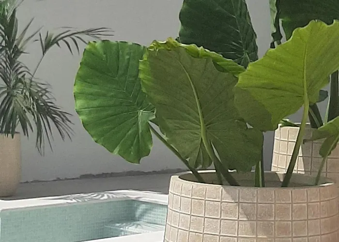 דירה Sea Ya - Two Apartments House With Heated Pool - 150M From Beach