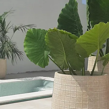 아파트 Sea Ya - Two Apartments House With Heated Pool - 150M From Beach